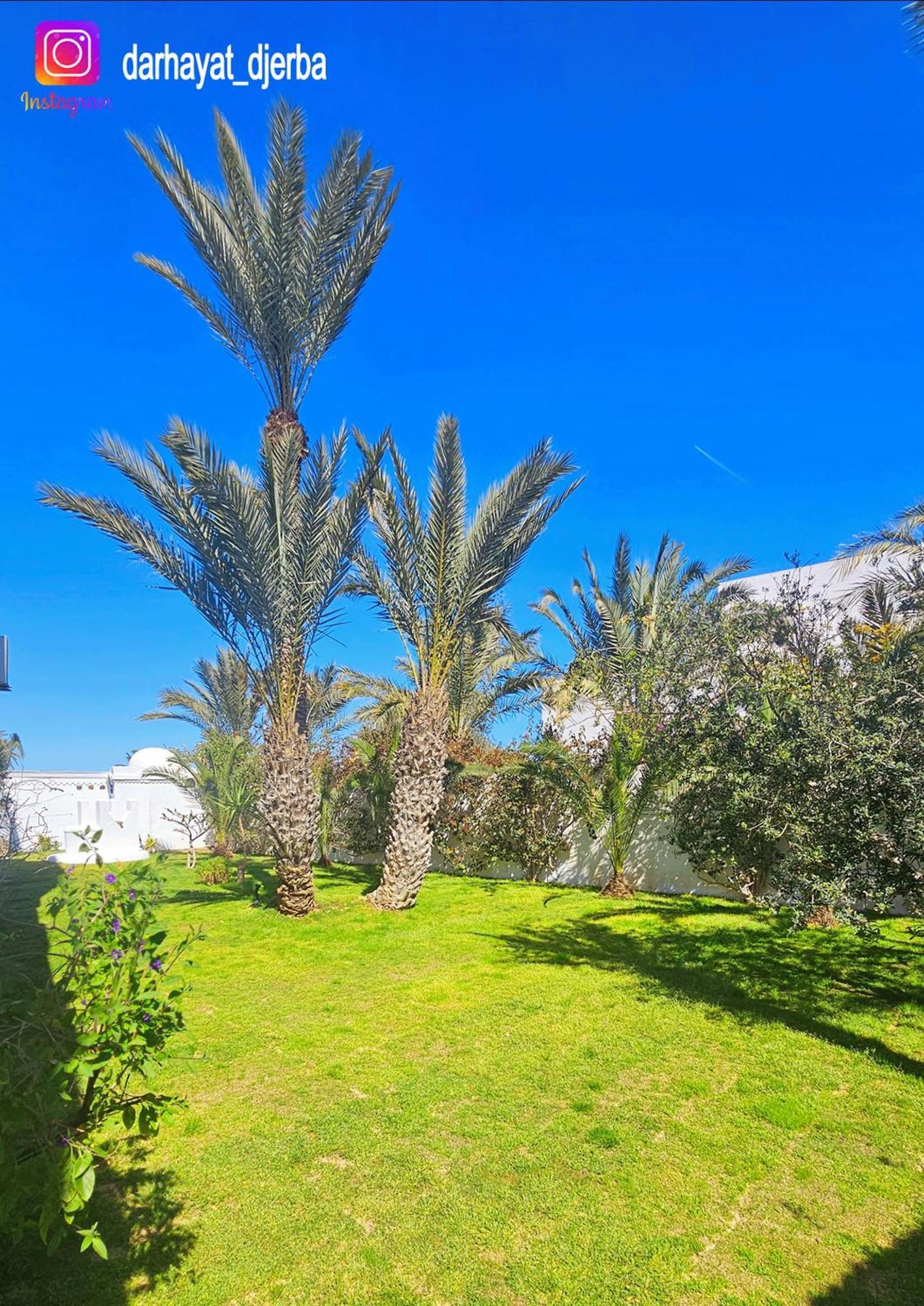Dar Hayat Villa Triffa Bagian luar foto